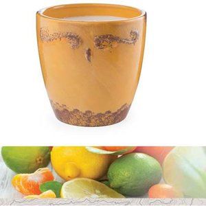14 oz Boxed Candle Soy/Paraffin Blend Wax Sugar Citrus Scent Regal Ceramic Vase